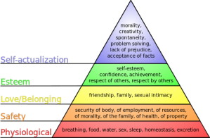 Maslow's Heirarcy of Needs
